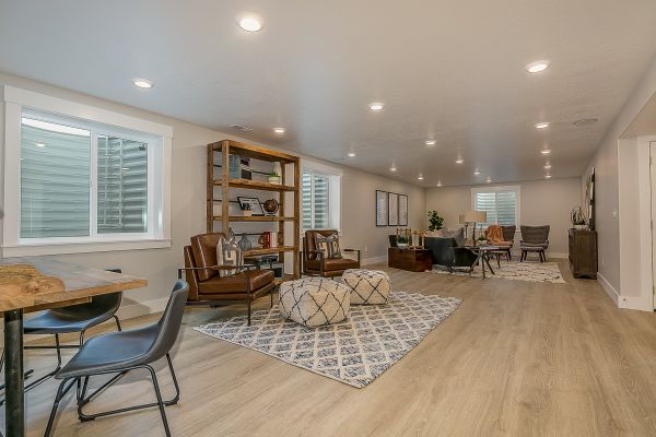 Recreation Rooms / Basements